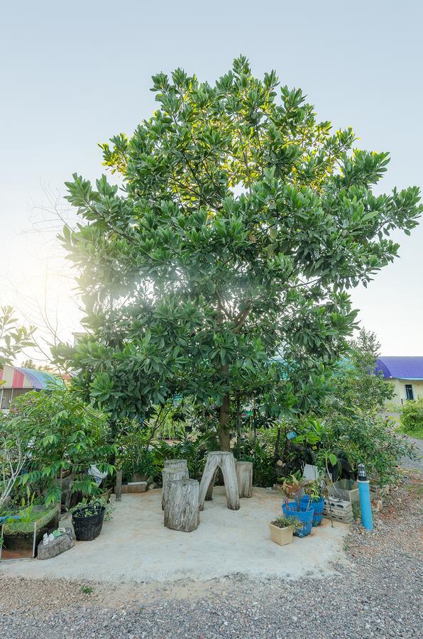 Ariya Garden Home Chumphon Bagian luar foto
